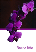 F&ecirc;te &eacute;clatante avec des orchid&eacute;es violettes